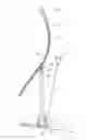 Fig. 01 - Stretching device
