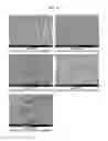 Fig. 05 - Oral composition