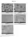 Fig. 11 - Oral composition