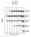 Fig. 07 - ALCOHOL RESISTANT DOSAGE FORMS