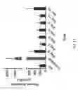 Fig. 22 - Process of Preparing mRNA-Loaded Lipid Nanoparticles