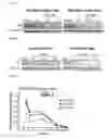 Fig. 33 - METHODS FOR TREATING CANCER