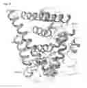 Fig. 41 - METHODS FOR TREATING CANCER