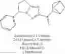 Fig. 232 - Bicyclic amide compounds and methods of use thereof