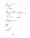 Fig. 09 - Creatine ester anti-inflammatory compounds and formulations