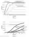 Fig. 03 - Pharmaceutical bead formulations comprising dimethyl fumarate