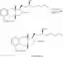 Fig. 86 - TREPROSTINIL PRODRUGS
