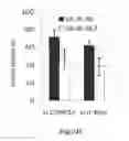 Fig. 08 - Methods for identifying and using inhibitors of casein kinase 1 epsilon isoform for inhibiting the growth and/or proliferation of MYC-driven tumor cells