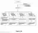 Fig. 13 - Compositions for the mobilization, homing, expansion and differentiation of stem cells and methods of using the same