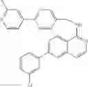 Fig. 64 - COMBINATION COMPOSITIONS FOR IMMUNOTHERAPY