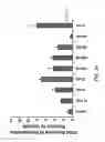 Fig. 30 - Method of increasing satellite cell proliferation with an HDAC inhibitor