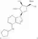 Fig. 46 - Method of increasing satellite cell proliferation with an HDAC inhibitor