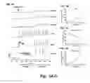 Fig. 02 - Mitigation of epileptic seizures by combination therapy using benzodiazepines and neurosteroids
