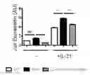 Fig. 01 - INHIBITION OF EXPANSION AND FUNCTION OF PATHOGENIC AGE-ASSOCIATED B CELLS AND USE FOR THE PREVENTION AND TREATMENT OF AUTOIMMUNE DISEASE