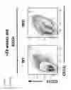 Fig. 02 - INHIBITION OF EXPANSION AND FUNCTION OF PATHOGENIC AGE-ASSOCIATED B CELLS AND USE FOR THE PREVENTION AND TREATMENT OF AUTOIMMUNE DISEASE