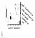 Fig. 72 - INHIBITION OF EXPANSION AND FUNCTION OF PATHOGENIC AGE-ASSOCIATED B CELLS AND USE FOR THE PREVENTION AND TREATMENT OF AUTOIMMUNE DISEASE