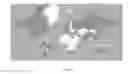 Fig. 02 - Polymer lung surfactants