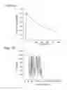 Fig. 02 - Method of producing physiological and therapeutic levels of nitric oxide through an oral delivery system