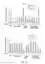Fig. 07 - METHOD FOR MAINTAINING INCREASED INTRACELLULAR p53 LEVEL, INDUCED BY PLATINUM-BASED ANTICANCER DRUG, AND APPLICATION THEREOF