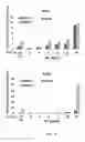 Fig. 09 - METHOD FOR MAINTAINING INCREASED INTRACELLULAR p53 LEVEL, INDUCED BY PLATINUM-BASED ANTICANCER DRUG, AND APPLICATION THEREOF
