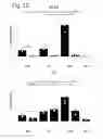 Fig. 07 - Compositions for treatment of osteochondral disorders