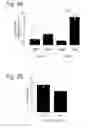 Fig. 09 - Compositions for treatment of osteochondral disorders