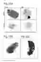 Fig. 49 - Compositions for treatment of osteochondral disorders