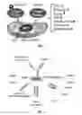 Fig. 02 - COMPOSITIONS AND METHODS FOR TREATING POST OPERATIVE COGNITIVE DYSFUNCTION AND NEUROINFLAMMATION WITH ANNEXIN A1 (ANXA1) PEPTIDES