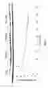 Fig. 06 - COMPOSITIONS AND METHODS FOR TREATING POST OPERATIVE COGNITIVE DYSFUNCTION AND NEUROINFLAMMATION WITH ANNEXIN A1 (ANXA1) PEPTIDES