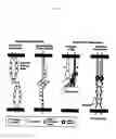 Fig. 02 - Methods of reducing extravasation of inflammatory cells