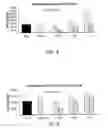 Fig. 07 - Inactivated Bacterial Cell Formulation