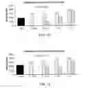 Fig. 08 - Inactivated Bacterial Cell Formulation