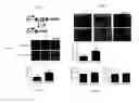 Fig. 09 - COMPOSITIONS AND METHODS FOR TREATMENT AND PREVENTION OF CARDIOVASCULAR DISEASES