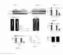 Fig. 10 - COMPOSITIONS AND METHODS FOR TREATMENT AND PREVENTION OF CARDIOVASCULAR DISEASES