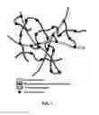 Fig. 02 - Hydrogel compositions