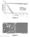 Fig. 04 - Compositions and methods for administering antibodies
