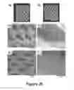 Fig. 32 - Compositions and methods for administering antibodies