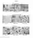Fig. 07 - NUCLEIC ACID-CATIONIC POLYMER COMPOSITIONS AND METHODS OF MAKING AND USING THE SAME
