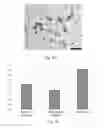 Fig. 08 - NUCLEIC ACID-CATIONIC POLYMER COMPOSITIONS AND METHODS OF MAKING AND USING THE SAME