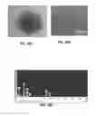 Fig. 22 - Composites and compositions for therapeutic use and methods of making and using the same
