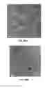 Fig. 28 - Composites and compositions for therapeutic use and methods of making and using the same
