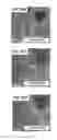 Fig. 32 - Composites and compositions for therapeutic use and methods of making and using the same