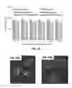 Fig. 46 - Composites and compositions for therapeutic use and methods of making and using the same