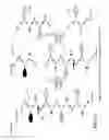 Fig. 23 - System and Method For Sterilizing and/or Deimmunizing an Object