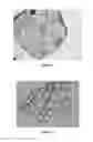 Fig. 02 - Method of sterilization of microparticles