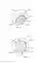 Fig. 07 - Advanced scent dispersion device