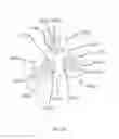 Fig. 33 - Advanced scent dispersion device