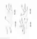 Fig. 49 - Advanced scent dispersion device
