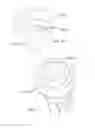 Fig. 50 - Advanced scent dispersion device