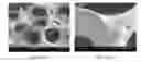 Fig. 01 - SCAFFOLD PREPARING METHOD AND SCAFFOLD PREPARED THEREBY